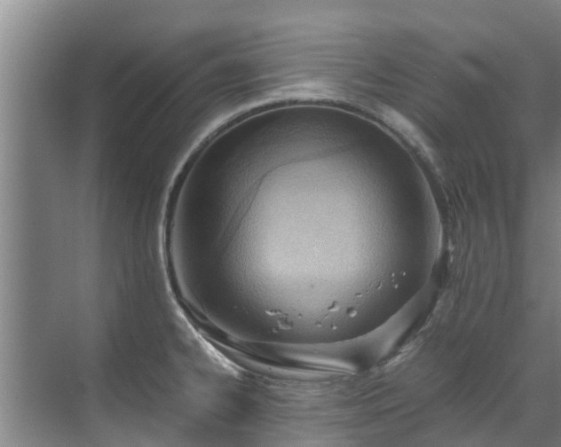 X0000071951334200607141449