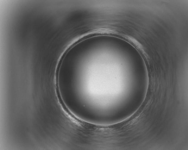 X0000071951335200607141449