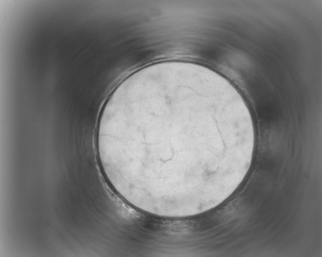 X0000071951338200607141449