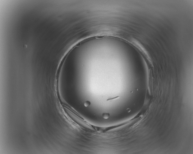 X0000071951340200607141449