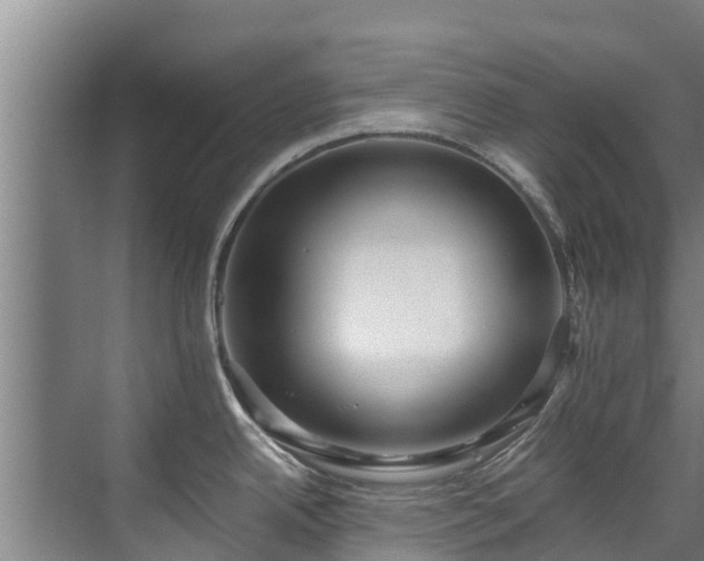 X0000071951342200607141449