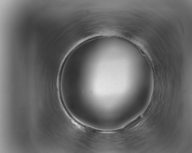 X0000071951343200607141449