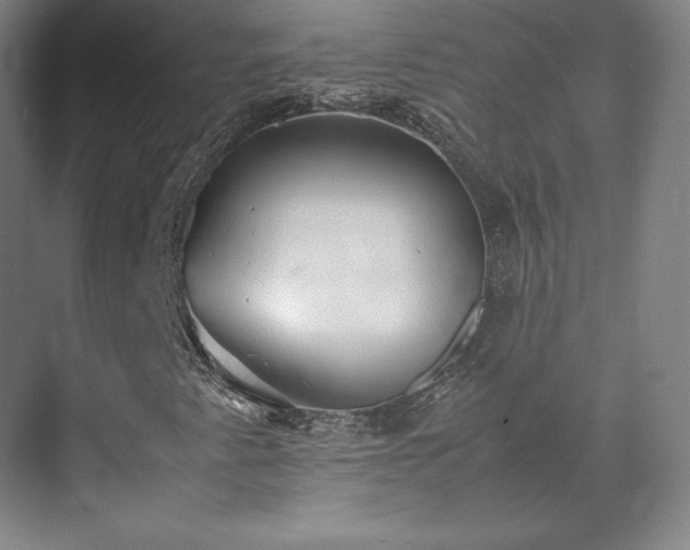 X0000071951345200607141448