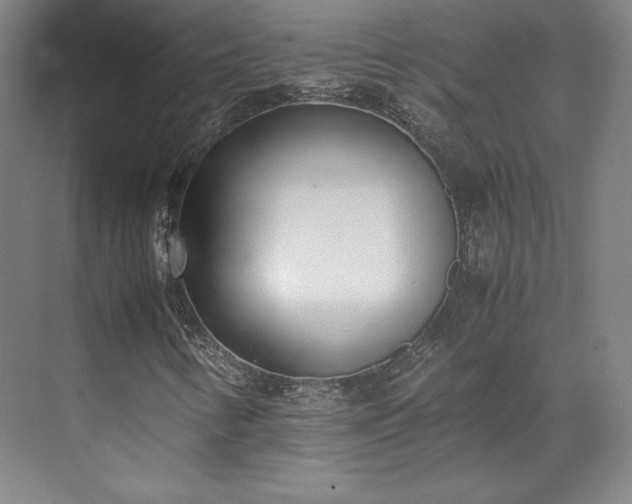 X0000071951346200607141448