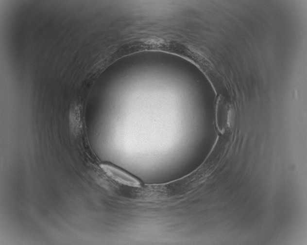 X0000071951347200607141448