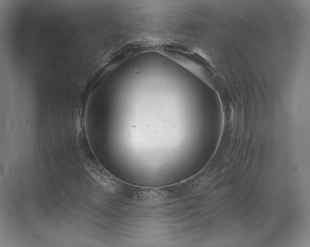 X0000071951348200607141448