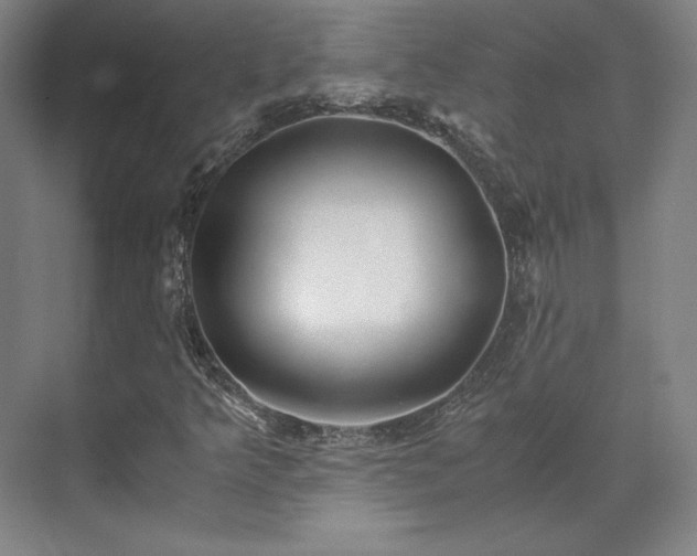 X0000071951349200607141448