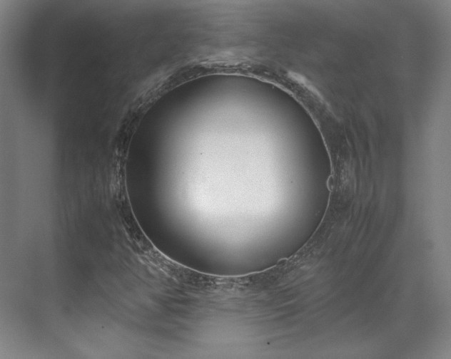 X0000071951350200607141448