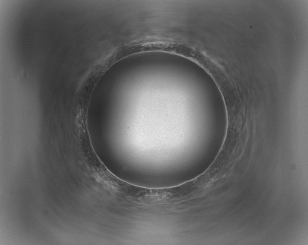 X0000071951351200607141448