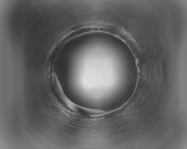 X0000071951352200607141448