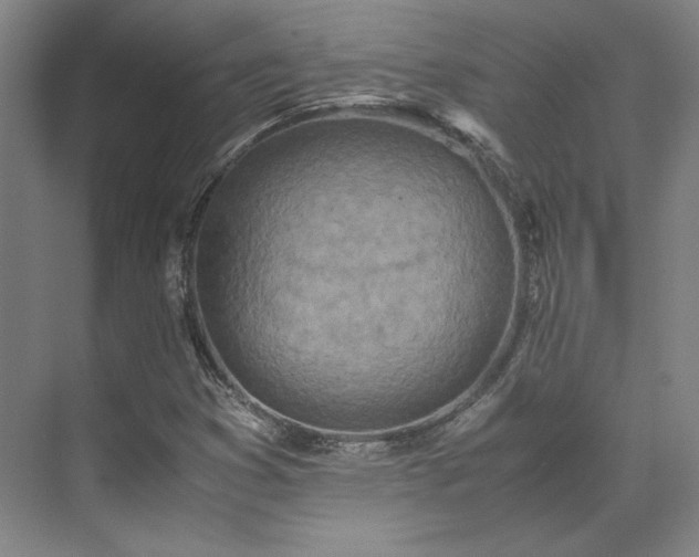 X0000071951353200607141448