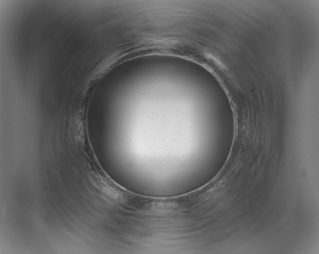 X0000071951354200607141448