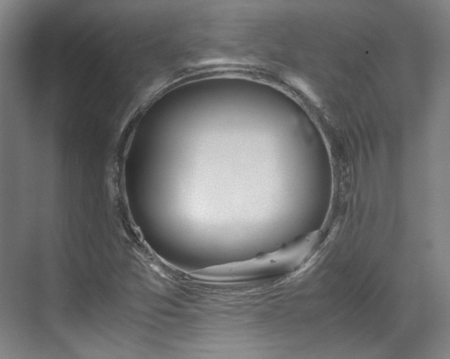 X0000071951357200607141448