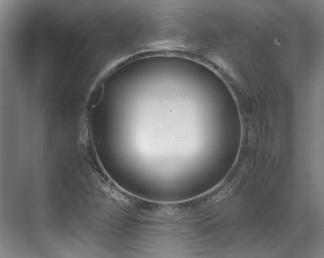 X0000071951358200607141448