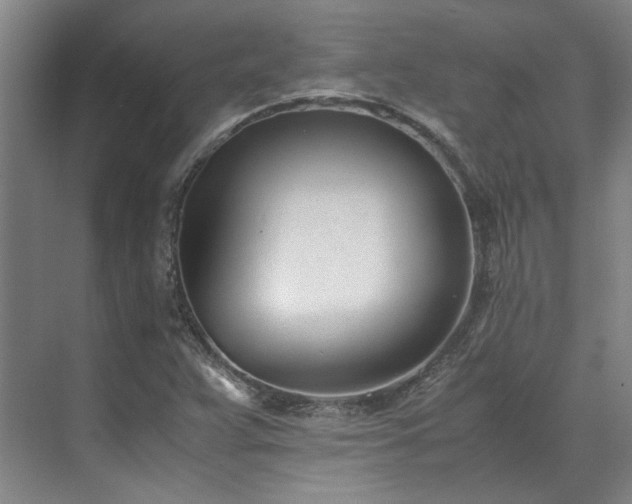 X0000071951359200607141448