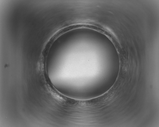 X0000071951360200607141448