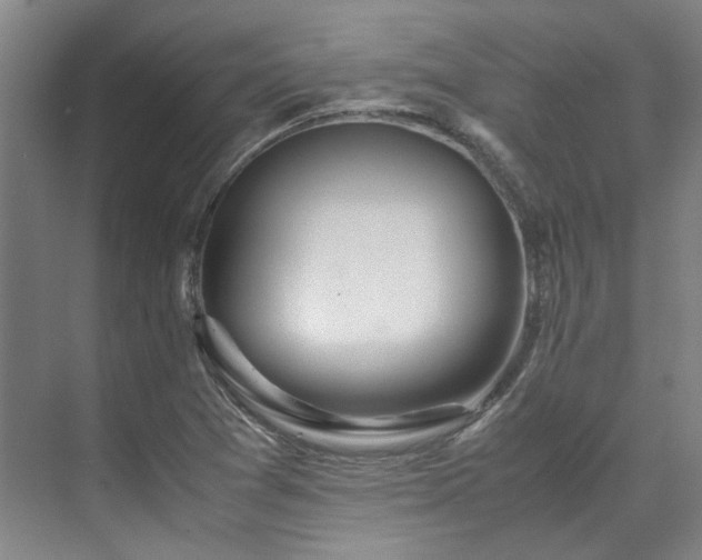 X0000071951361200607141448