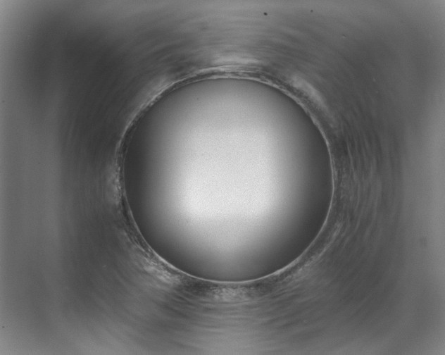 X0000071951362200607141448