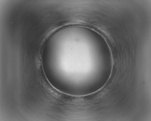 X0000071951363200607141448