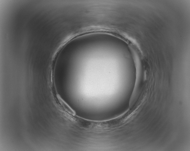 X0000071951365200607141448