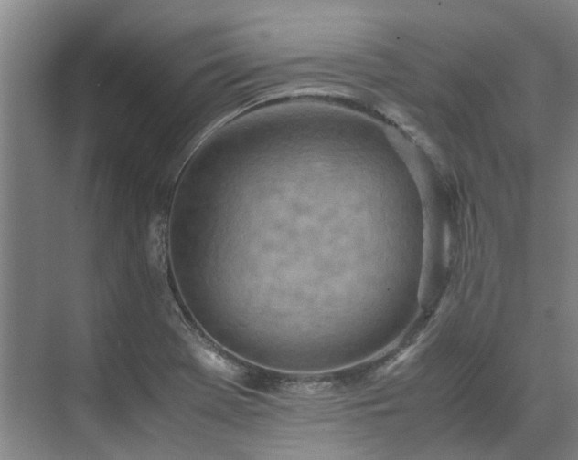 X0000071951369200607141448