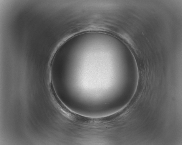 X0000071951371200607141448