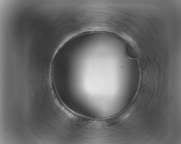 X0000071951374200607141448