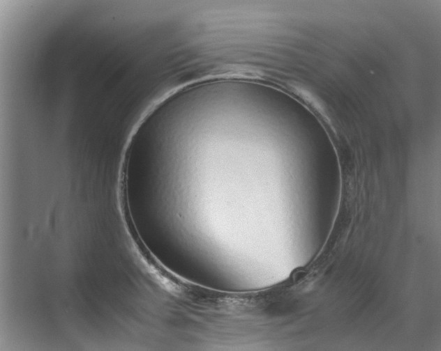 X0000071951379200607141448