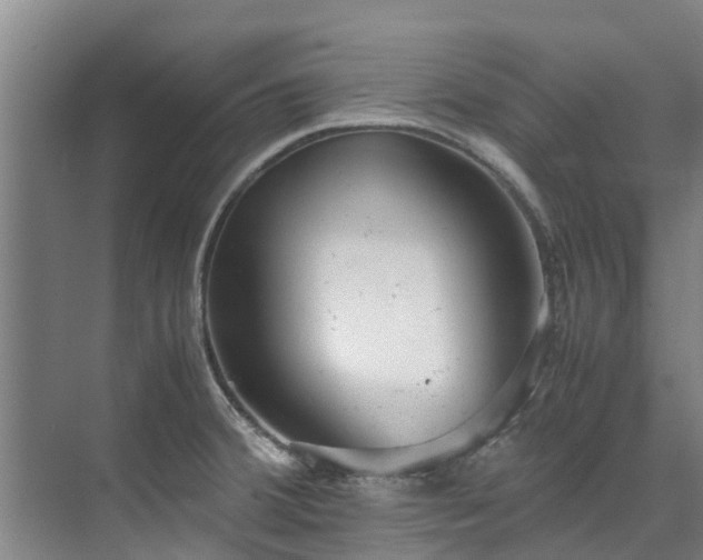 X0000071951380200607141448