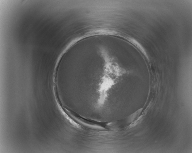 X0000071951381200607141448