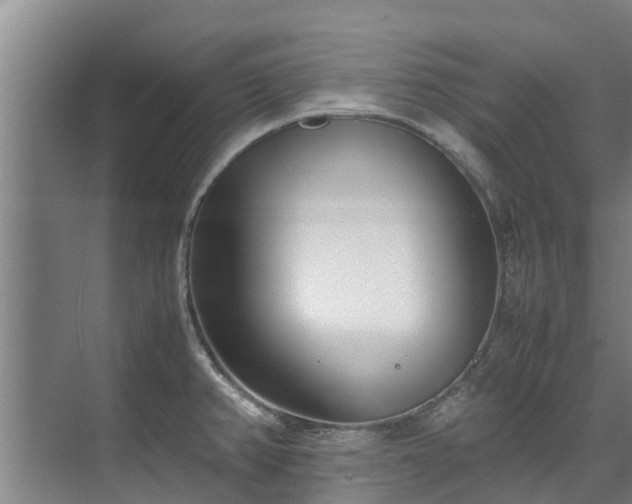 X0000071951382200607141448