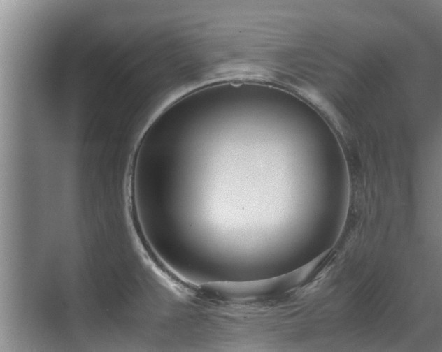 X0000071951383200607141448