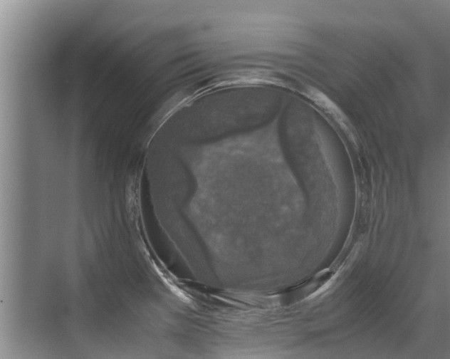 X0000071951385200607141448