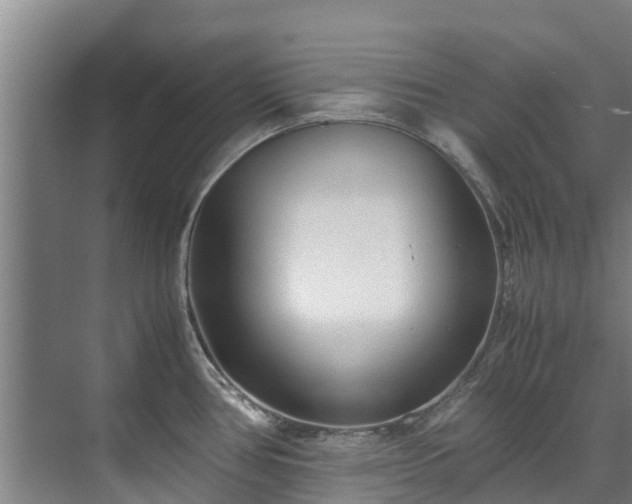 X0000071951386200607141448