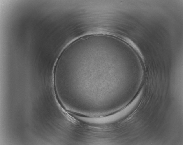 X0000071951388200607141447