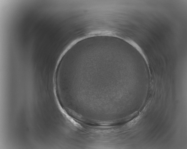 X0000071951389200607141447