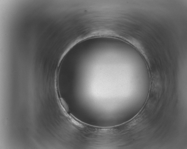 X0000071951390200607141447