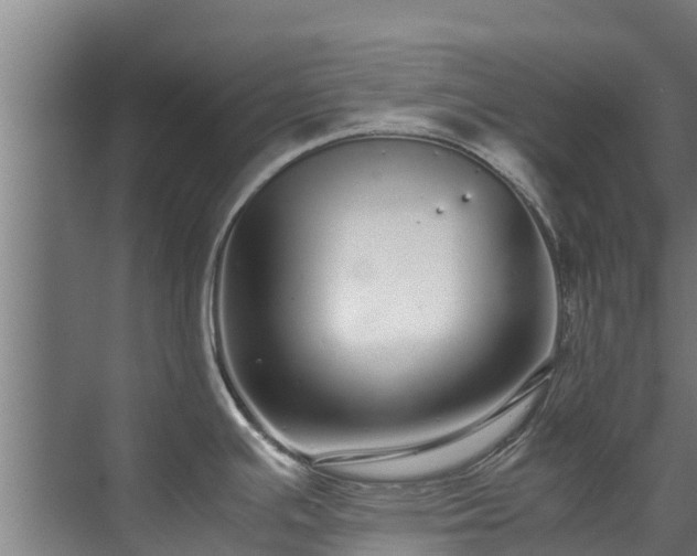 X0000071951391200607141447