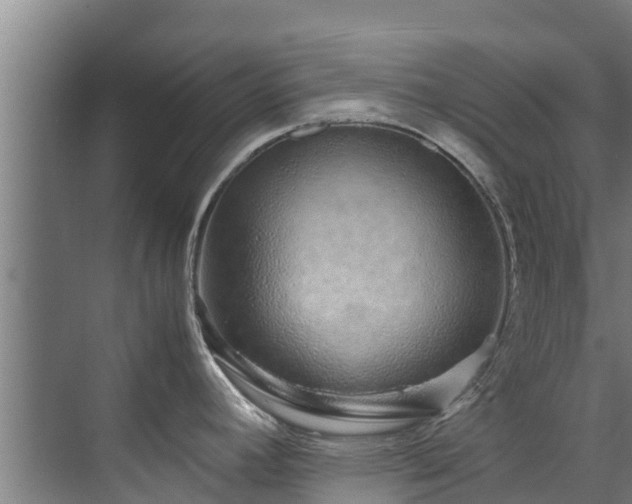 X0000071951392200607141447