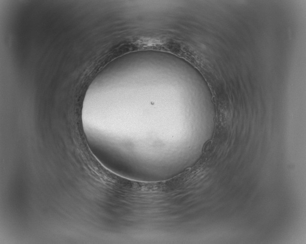 X0000071951393200607141447