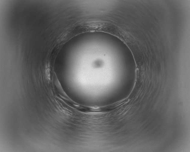 X0000071951394200607141447