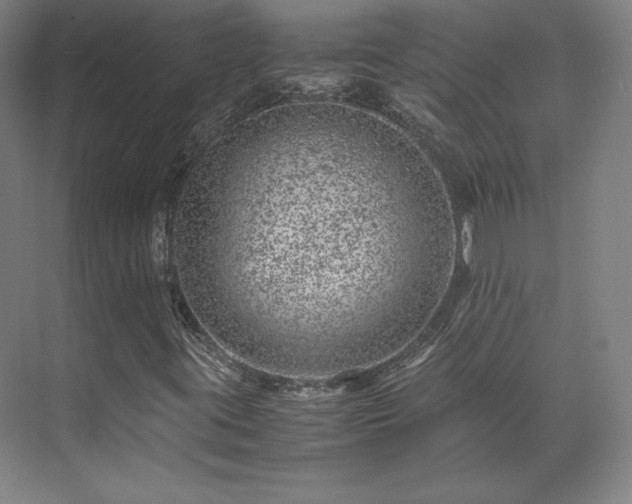 X0000071951395200607141447