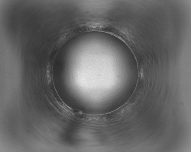 X0000071951396200607141447