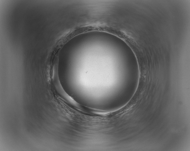 X0000071951398200607141447