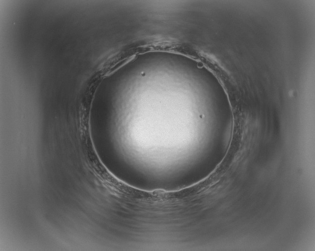 X0000071951399200607141447