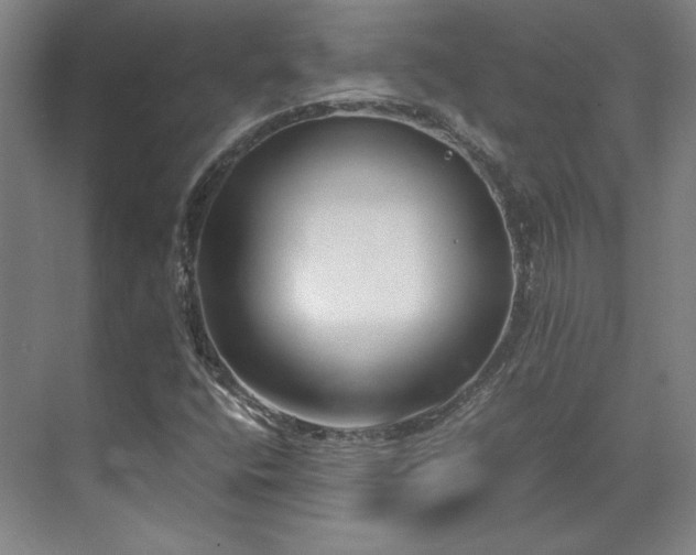 X0000071951400200607141447