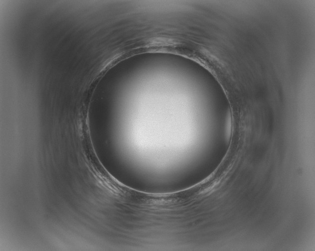 X0000071951401200607141447