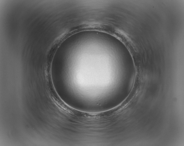 X0000071951403200607141447