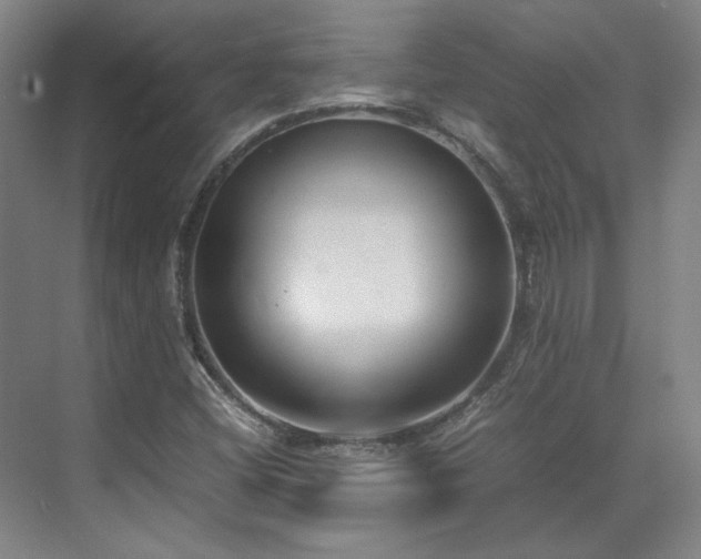 X0000071951404200607141447