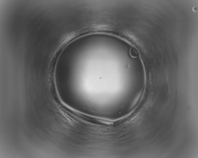 X0000071951405200607141447